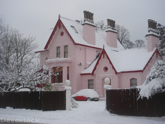 Devostock House Snow Pink Lndon 4K