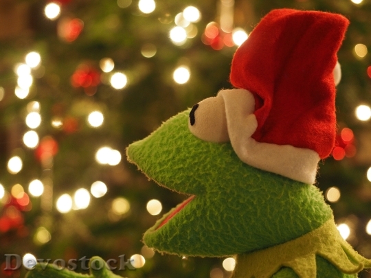 Devostock Kermit Frog Christmas Fog 3 4K