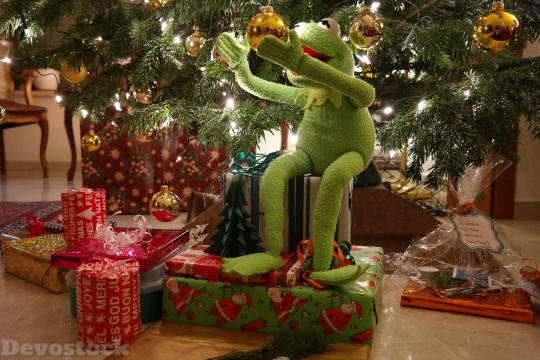 Devostock Kermit Frog Green ifts 4K
