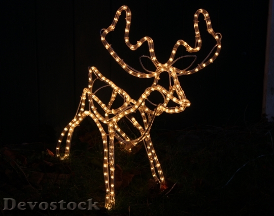 Devostock Lichterkette Reindeer Christmas 53477 4K