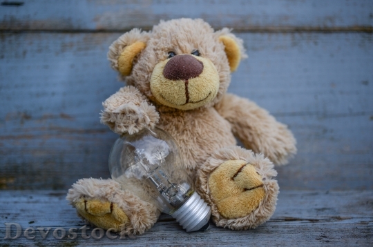 Devostock Light Bulb Teddy Bear Bulb 105325 4K