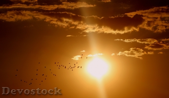 Devostock Light Dawn Landscape 10402 4K