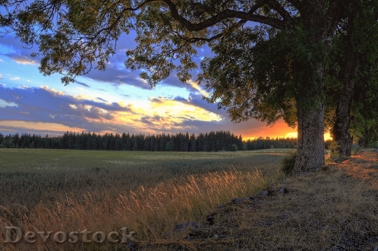 Devostock Light Dawn Landscape 137114 4K