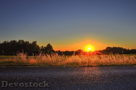 Devostock Light Dawn Landscape 137132 4K