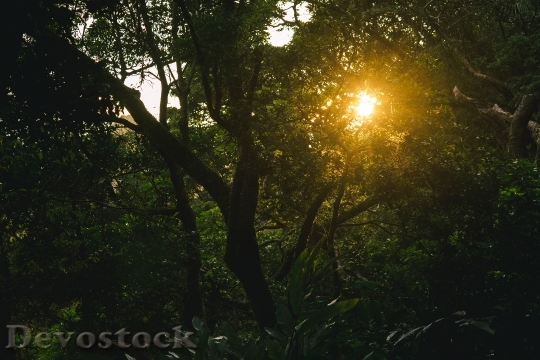 Devostock Light Dawn Landscape 137347 4K