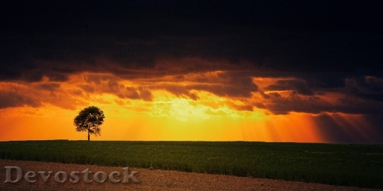 Devostock Light Dawn Landscape 146710 4K