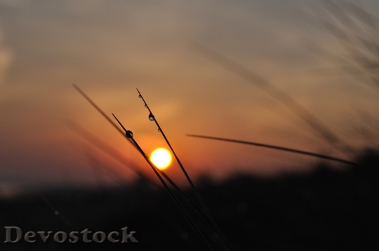 Devostock Light Dawn Landscape 16798 4K