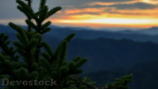 Devostock Light Dawn Landscape 18117 4K