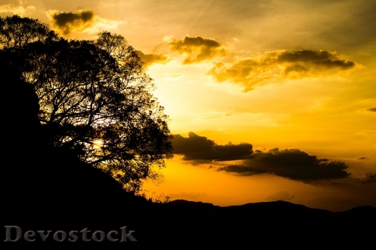 Devostock Light Dawn Landscape 24544 4K