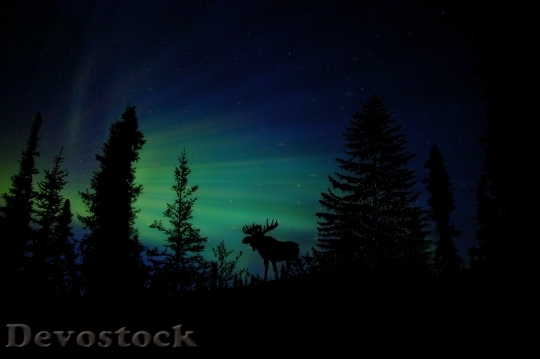 Devostock Light Dawn Landscape 35858 4K