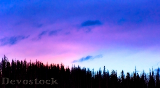Devostock Light Dawn Landscape 46276 4K