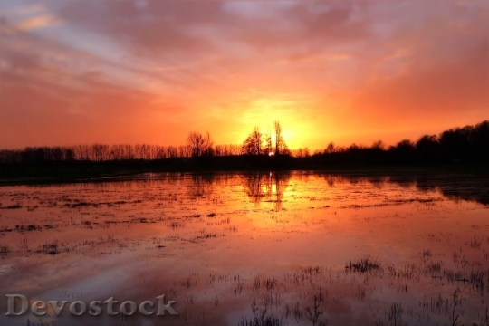 Devostock Light Dawn Landscape 58316 4K