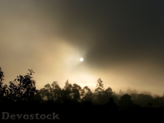 Devostock Light Dawn Landscape 75773 4K