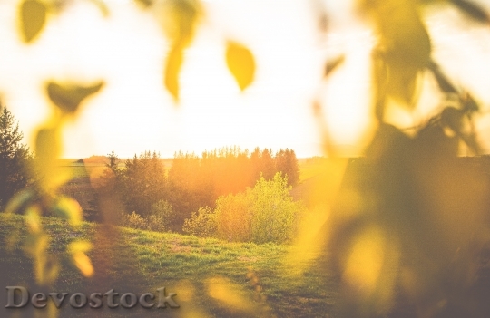 Devostock Light Dawn Landscape 86205 4K