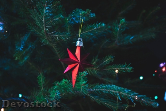 Devostock Light Holiday Tree 40595 4K
