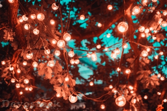 Devostock Lights Blur Tree 124960 4K