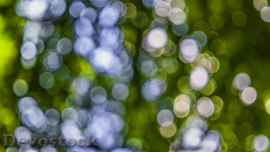Devostock Lights Pattern Blur 57035 4K