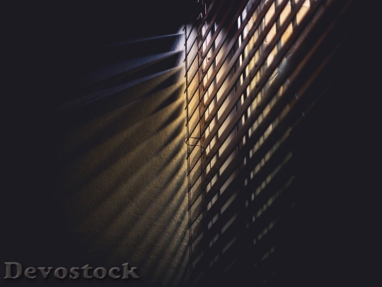 Devostock Lights Photo 56414 4K.jpeg