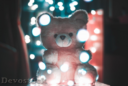 Devostock Lights Teddy Bear Bokeh 69517 4K