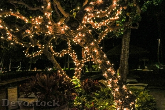 Devostock Lights Tree Christmas Lghts 4K