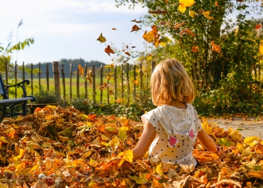 Devostock Little Girl Autumn Leaves 4K
