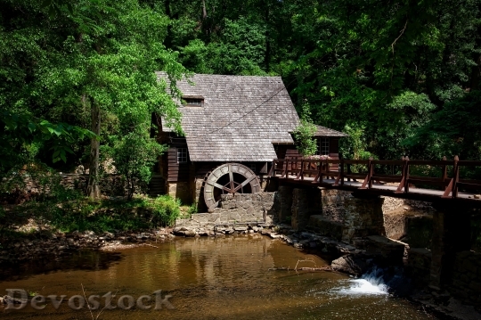 Devostock Mill House Alabama Landscape Forest 1034 4K.jpeg