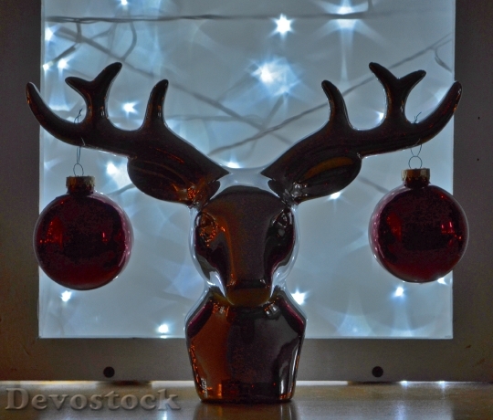 Devostock Moose Balls Christmas alls 4K