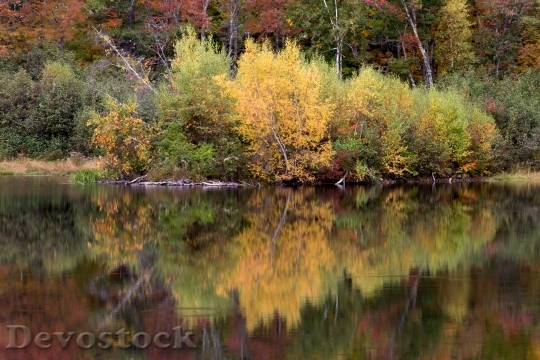 Devostock Nature Landscape Fall Autumn 2465 4K.jpeg