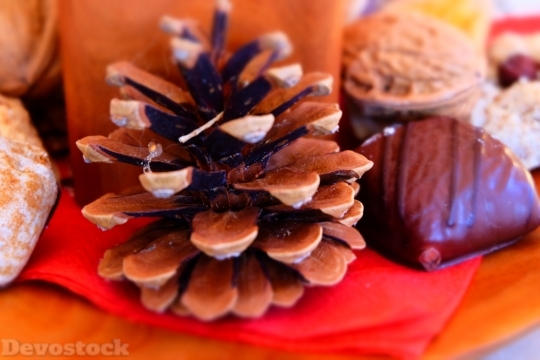 Devostock Pine Cones Advent Gingerread 4K