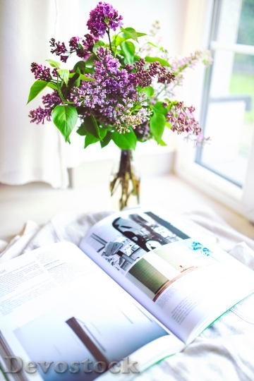 Devostock Plant Flower Decoration Book 4K