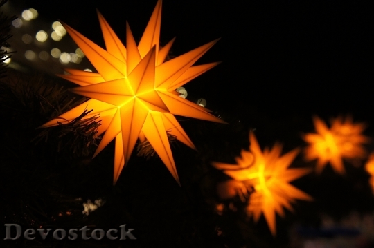 Devostock Poinsettia Advent ChristmasStar 4K