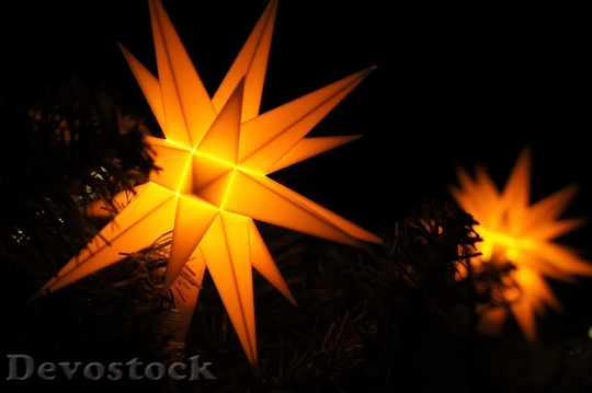 Devostock Poinsettia Christmas Star 43487 4K