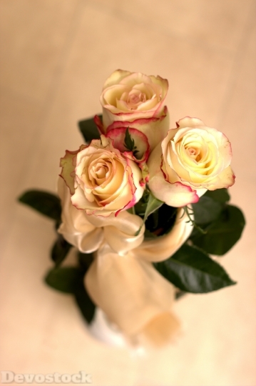 Devostock Rose Flower Petals Boquet 4K