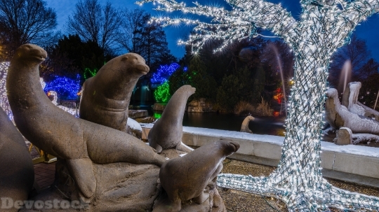 Devostock Sea Lion Statues Chritmas 4K