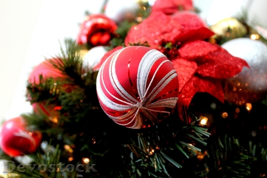 Devostock Seasonal Christmas Decoration 133104 4K