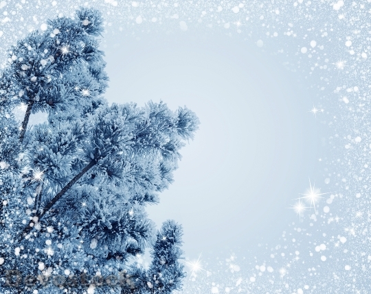 Devostock Snow Christmas Holiday rost 4K