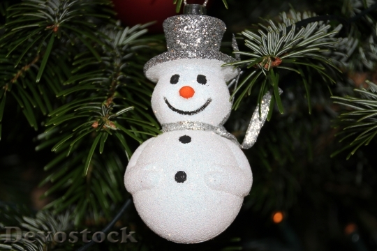 Devostock Snow Man Christmas Decortion 4K