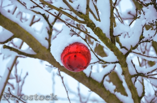 Devostock Snow Sphere Christmas Decortion 4K