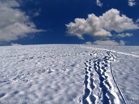 Devostock Snow Tracks TracesSnow 4K