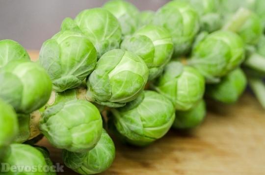 Devostock Sprouts Vegetables Diner reen 4K