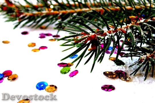 Devostock Spruce Photos Christmas Christas 1 4K