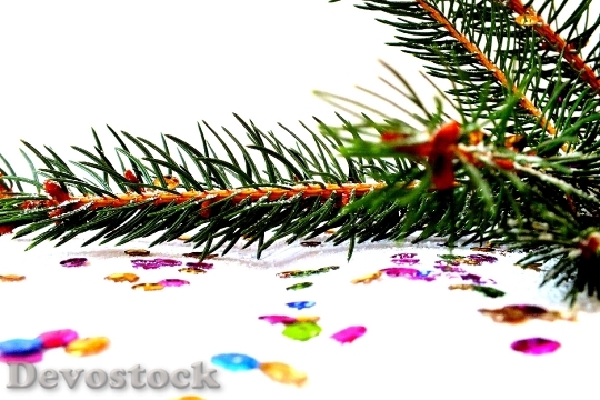 Devostock Spruce Photos Christmas Chritmas 4K
