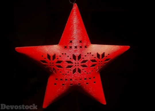 Devostock Star Red Star Poinsttia 4K