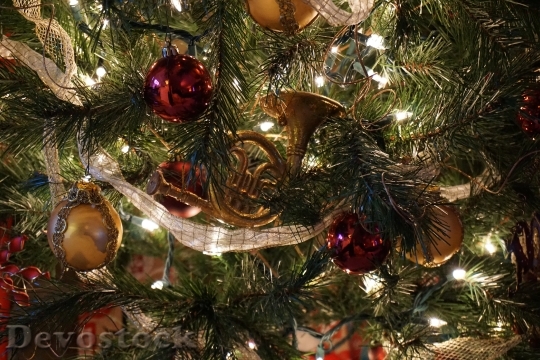 Devostock Tree Christmas Holiday 85538 4K