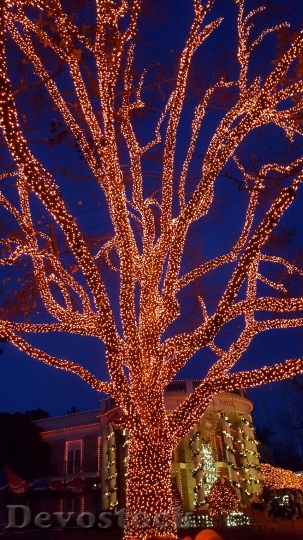 Devostock Tree Christmas Lights Lghts 4K