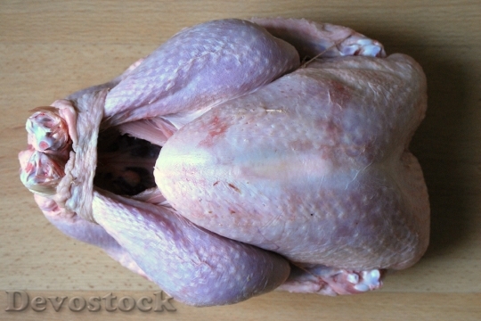 Devostock Turkey Poultry Christmas Trkey 4K