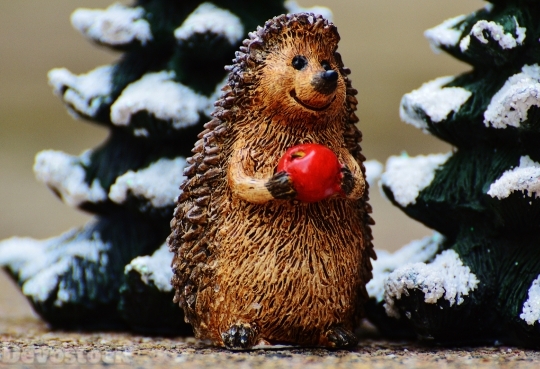 Devostock Winter Hedgehog Apple Cte 0 4K