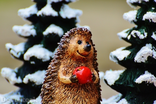 Devostock Winter Hedgehog Apple Cte 3 4K