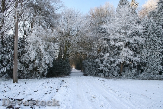 Devostock Winter Landscape Christmas Piture 4K