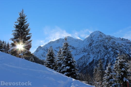 Devostock Winter Snow Mountains Tee 1 4K